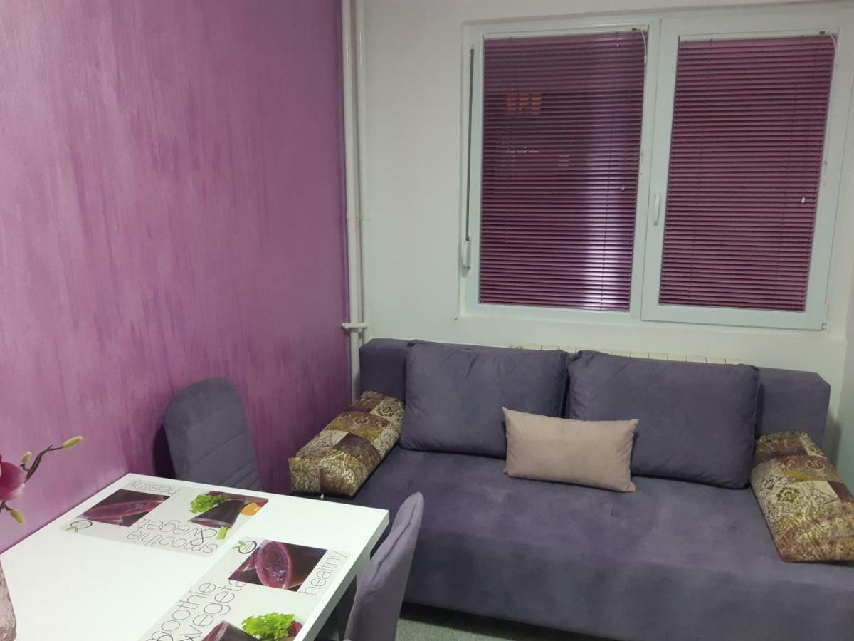 Apartment No. 5 Čačak Exteriér fotografie